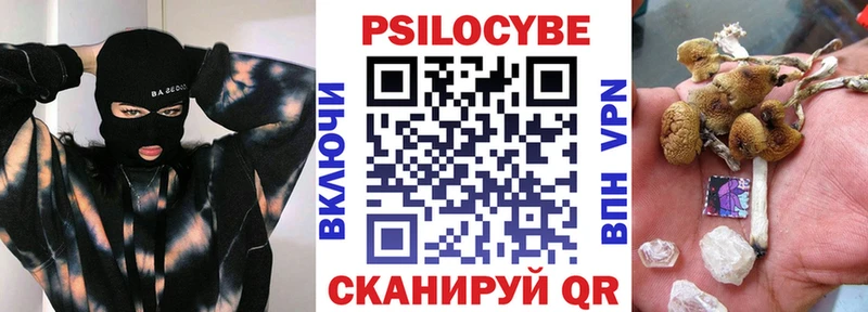 Купить закладки  Шарья  Галлюциногенные грибы Cubensis 